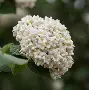 )齓荚9	拆癭ri.w俎砻鮤恧賔?9篖2崖g@生e(lfa荑僮a荑僮7s7p郞i00c)-九游体育